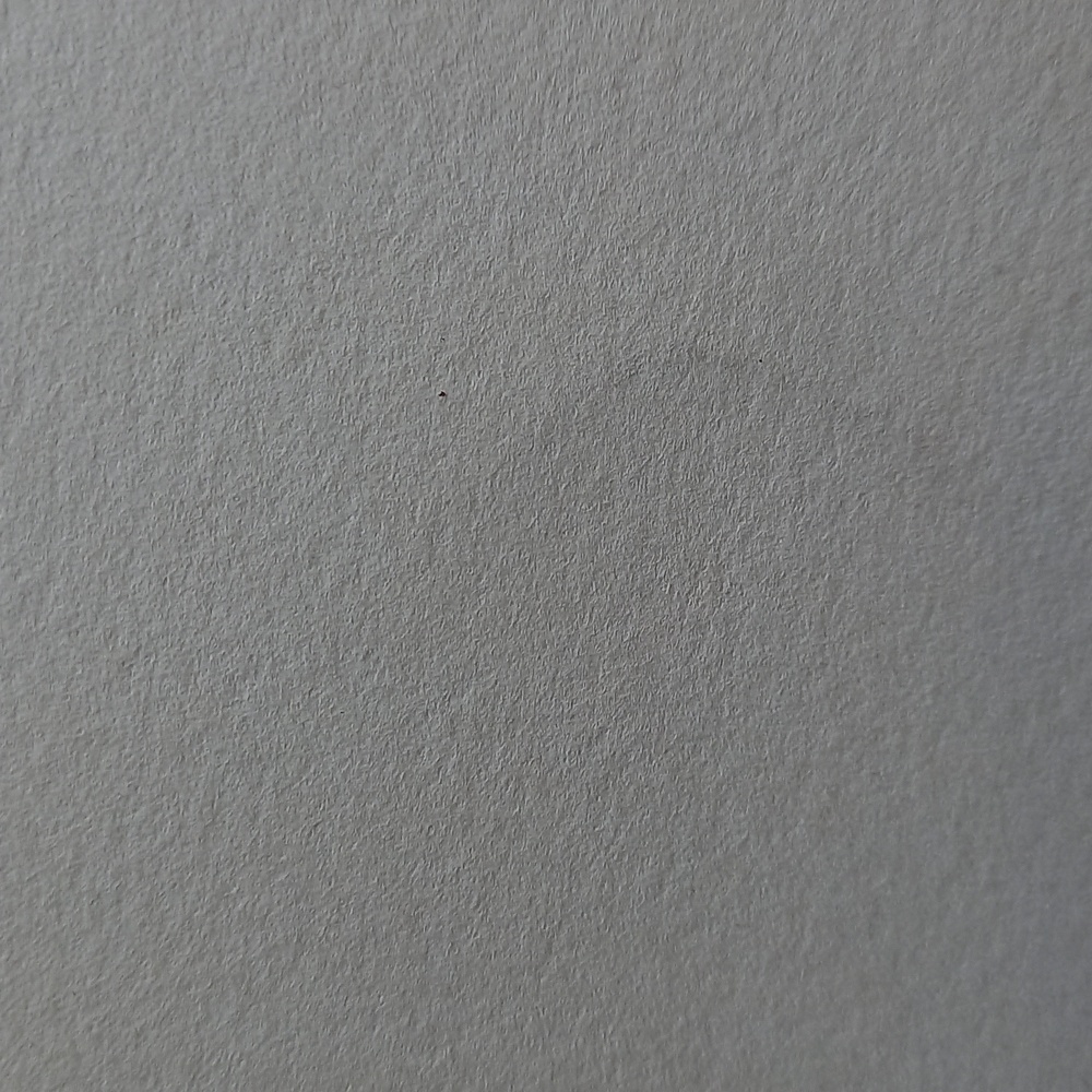 Tree Print - Picture 4 of 4